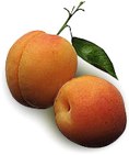 Peaches3.jpg