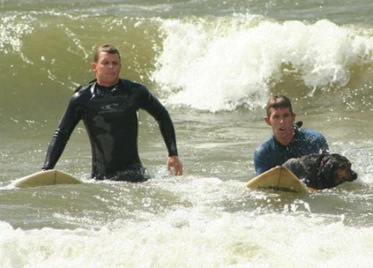 Surf2.jpg