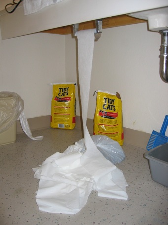 TP.jpg