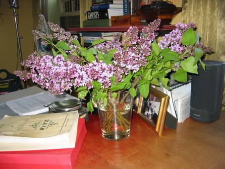 lilacs2.jpg