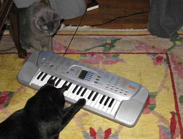 piano
