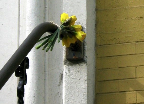 Daffodils on 11th Street, New York City