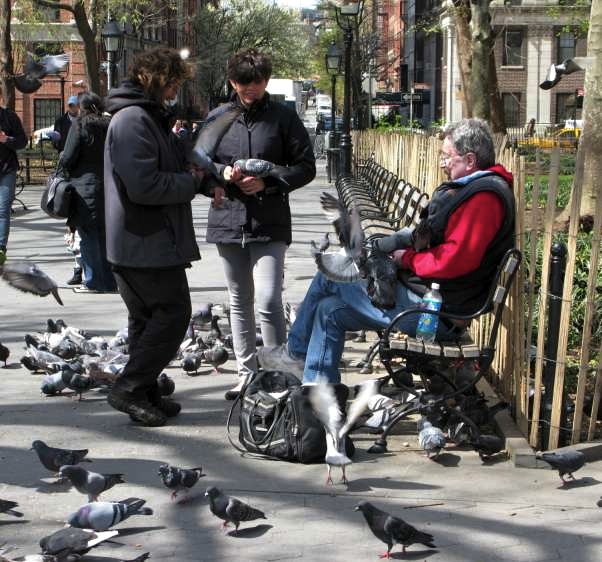 Feeding Pigeons in Washington Square Park
