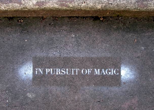 In Pursuit of Magic