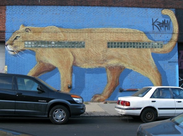 Graffiti, East Williamsburg, Brooklyn, NYC