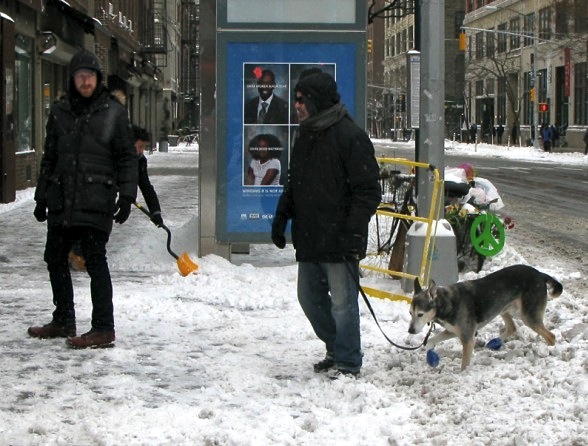Snowboots on Dog, New York City