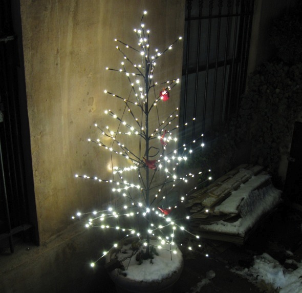 Christmas Tree, New York City