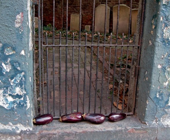Eggplants at the Second Cemetery of the Spanish and Portuguese Synagogue