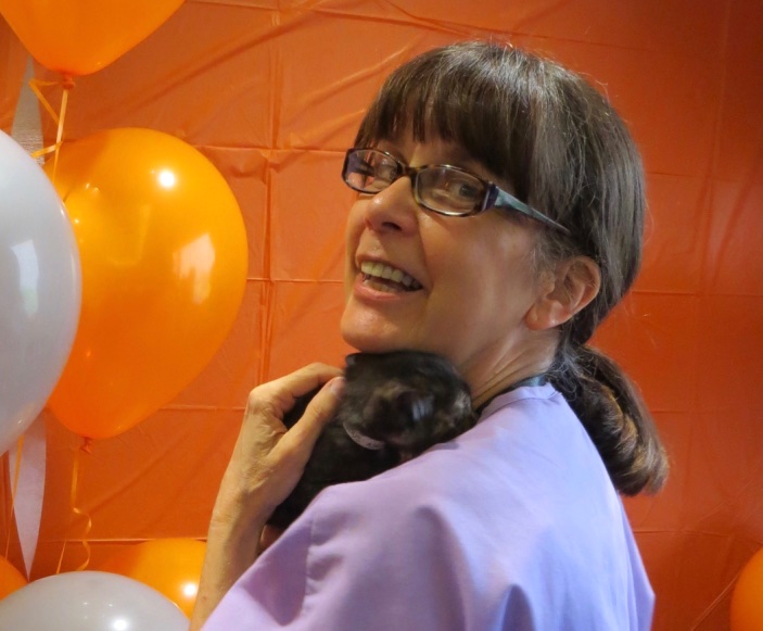 ASPCA Kitten Nursery