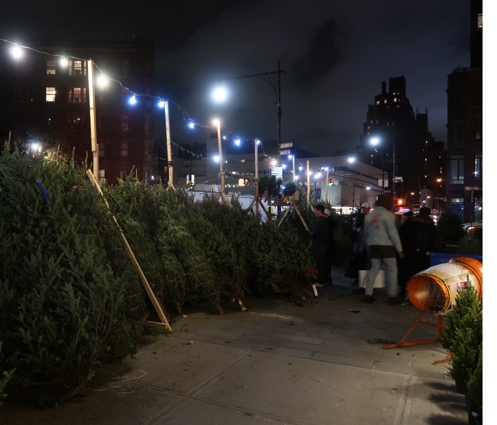 Christmas Trees, New York City, 2017